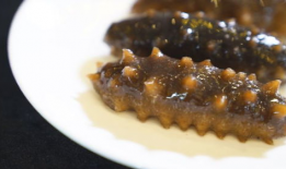 海参做法视频,跟随视频学习美味海参制作过程