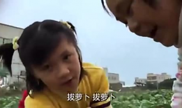 拔萝卜的视频,拔萝卜的趣味与技巧